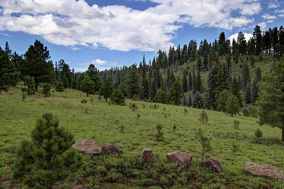 Along Three Forks Road