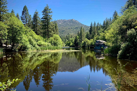 Lake Fulmor