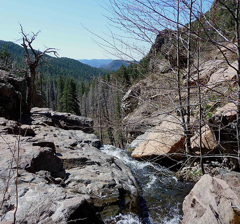 Workman Creek near Young Arizona