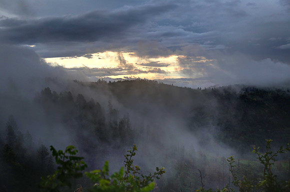 Morning Fog at Blue Vista Overlook