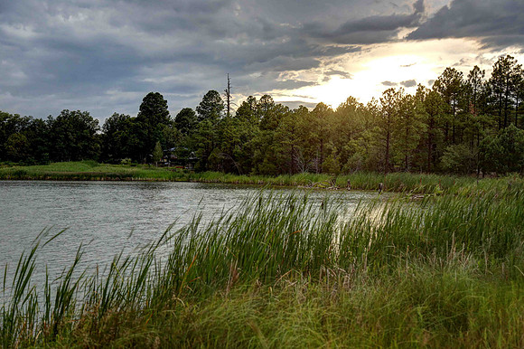 Lake of the Woods at Sunset