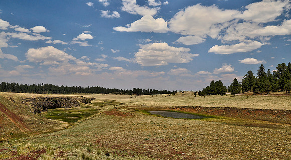 Apache Railroad Trail near Big Lake in Arizona