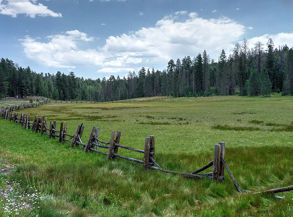 Hannagan Meadow