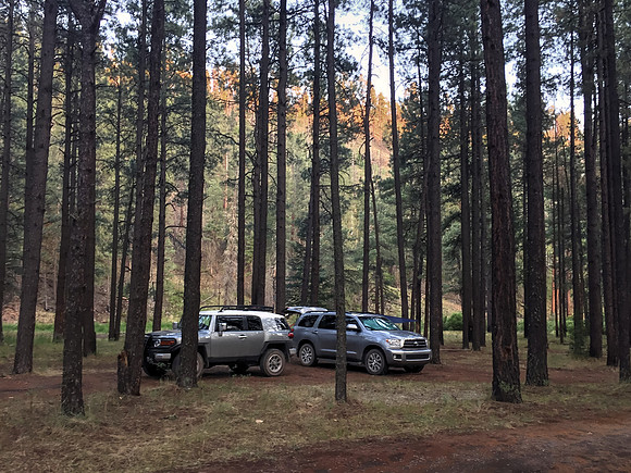 Camping at Horse Springs along the Black River