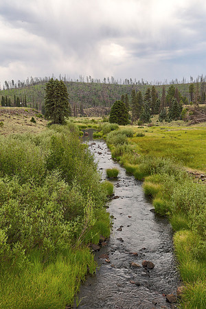 The East Fork of the Black River