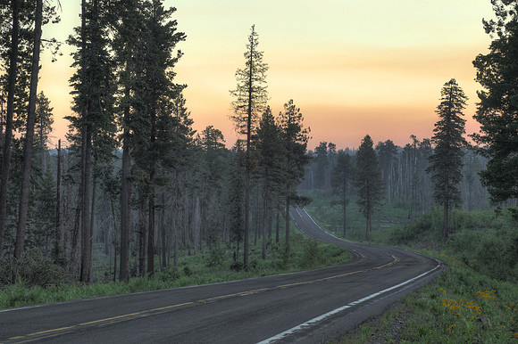 The Road Less Traveled along the Devil's Highway near Hannagan Meadow