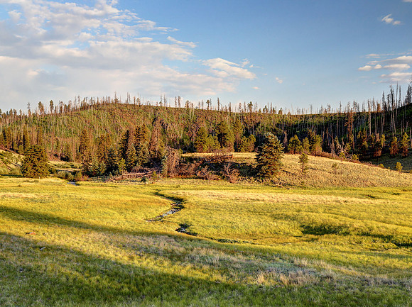 Three Forks near the Black River