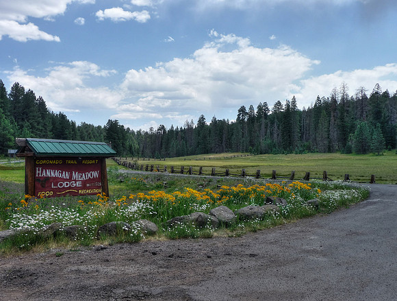 Hannagan Meadow