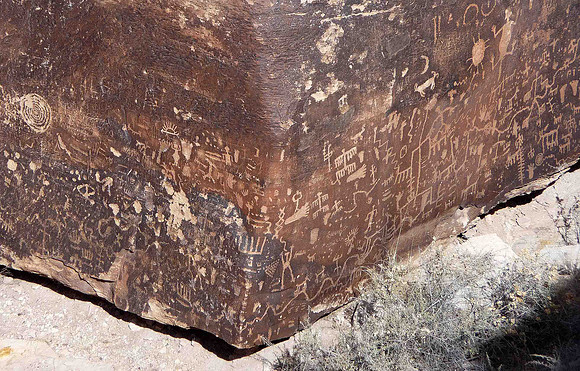 Newspaper Rock in Petrified Forest