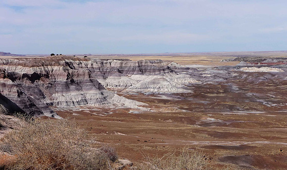 Petrified Forest National Park