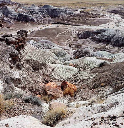 Blue Mesa in Petrified Forest