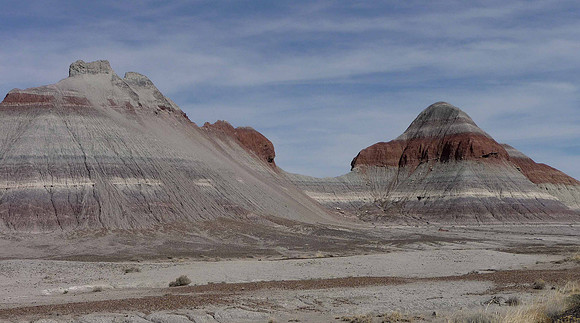 Petrified Forest National Park