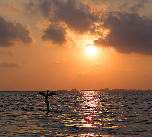 Sunrise on Playa Mujeres