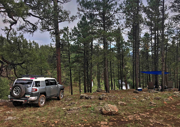 Camping on the Black River