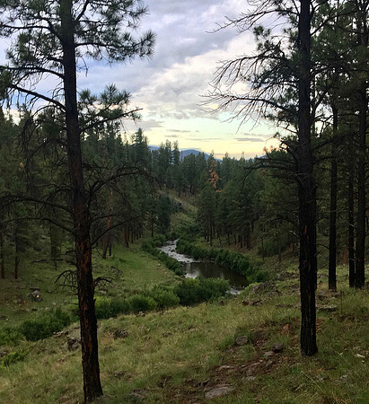 Confluence of the East and West Forks of the Black River