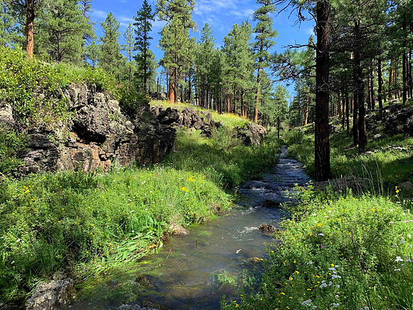 Horse Creek
