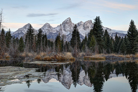 Sunrise at Schwabacher Landing