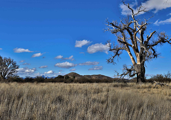 Buenos Aires National Wildlife Refuge