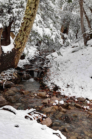 Ramsey Canyon Preserve