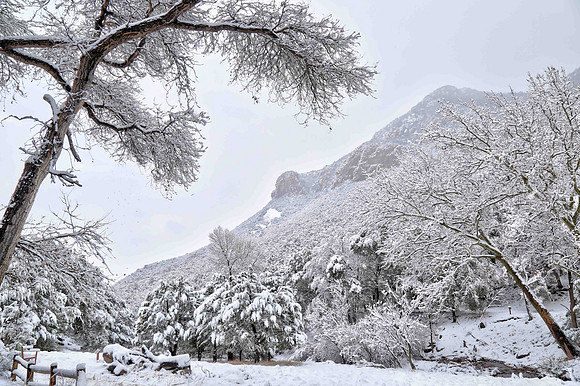 Ramsey Canyon Preserve