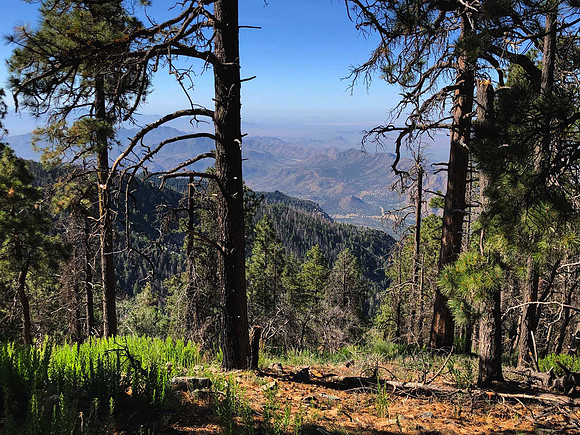 View from the top of Mt Graham