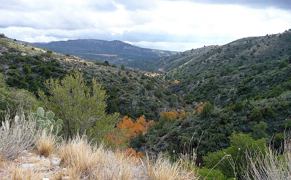 Along the road to Sunflower Mine