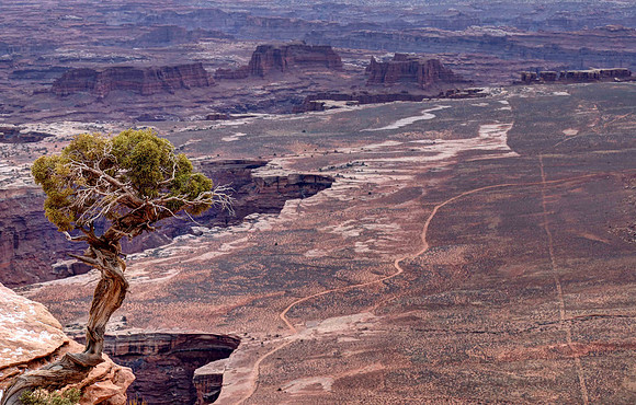 Grand View Point Trail