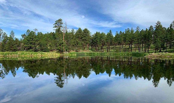 Hulsey Lake near Alpine, AZ