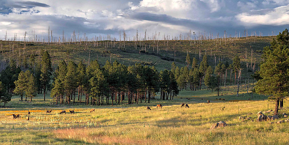 Along Three Forks Road