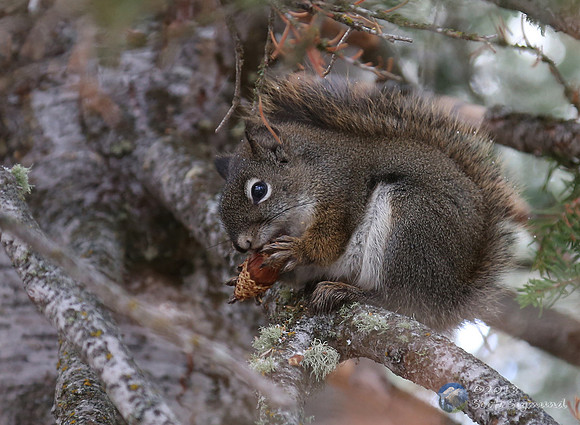 Snack time!