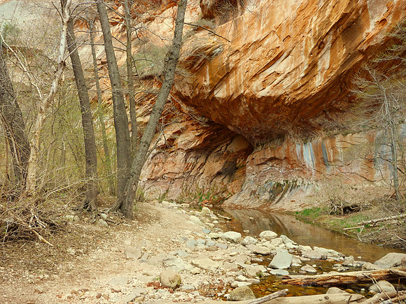 West Fork Trail
