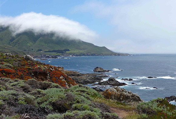 Along the Pacific Coast Highway