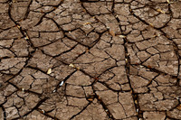 Arizona Drought