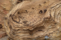 Sandstone in Capitol Reef National Park