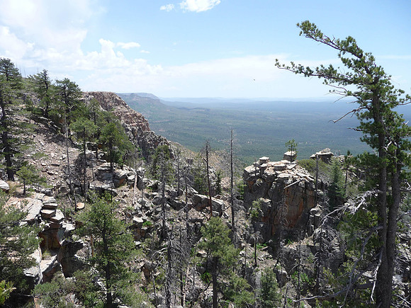 View from the top of The Mogollon Rim