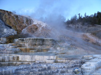 Mammoth Hot Springs in Yellowstone National Park