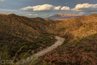 Arizona Desert