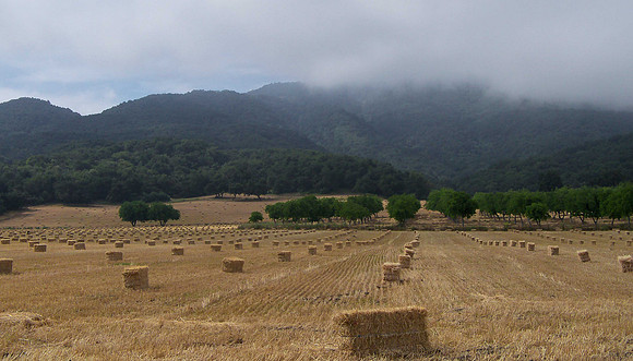 Near San Luis Obispo